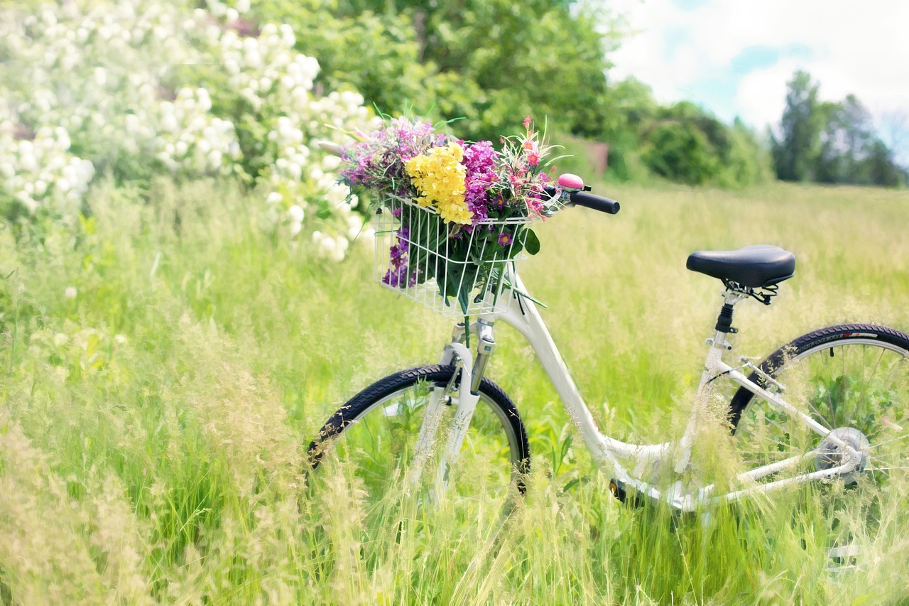 bicycle-788733_1920 (1).jpg