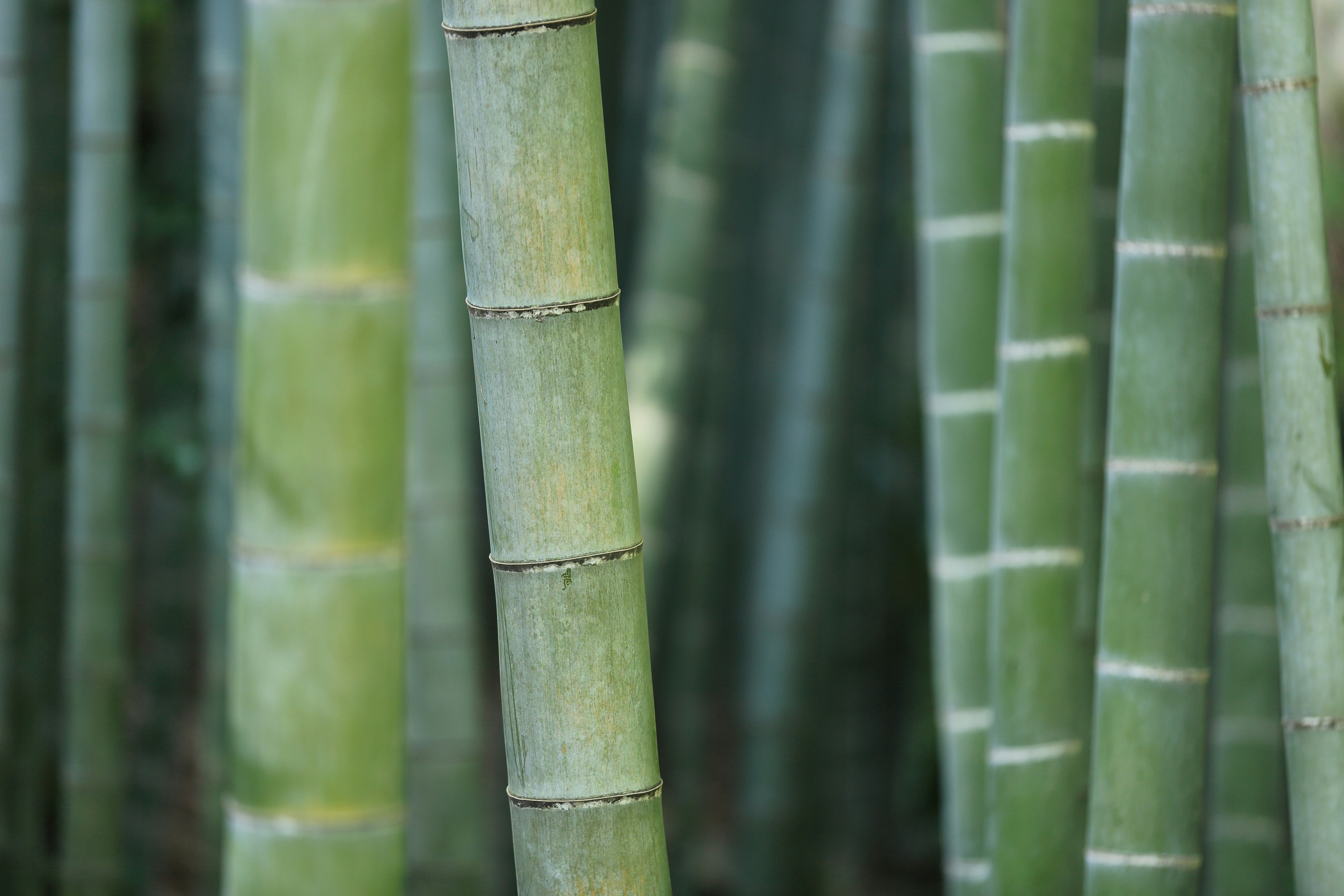 kazuend_L_Vdi_Xyu2e_Tc_unsplash_fba58ca88a.jpg