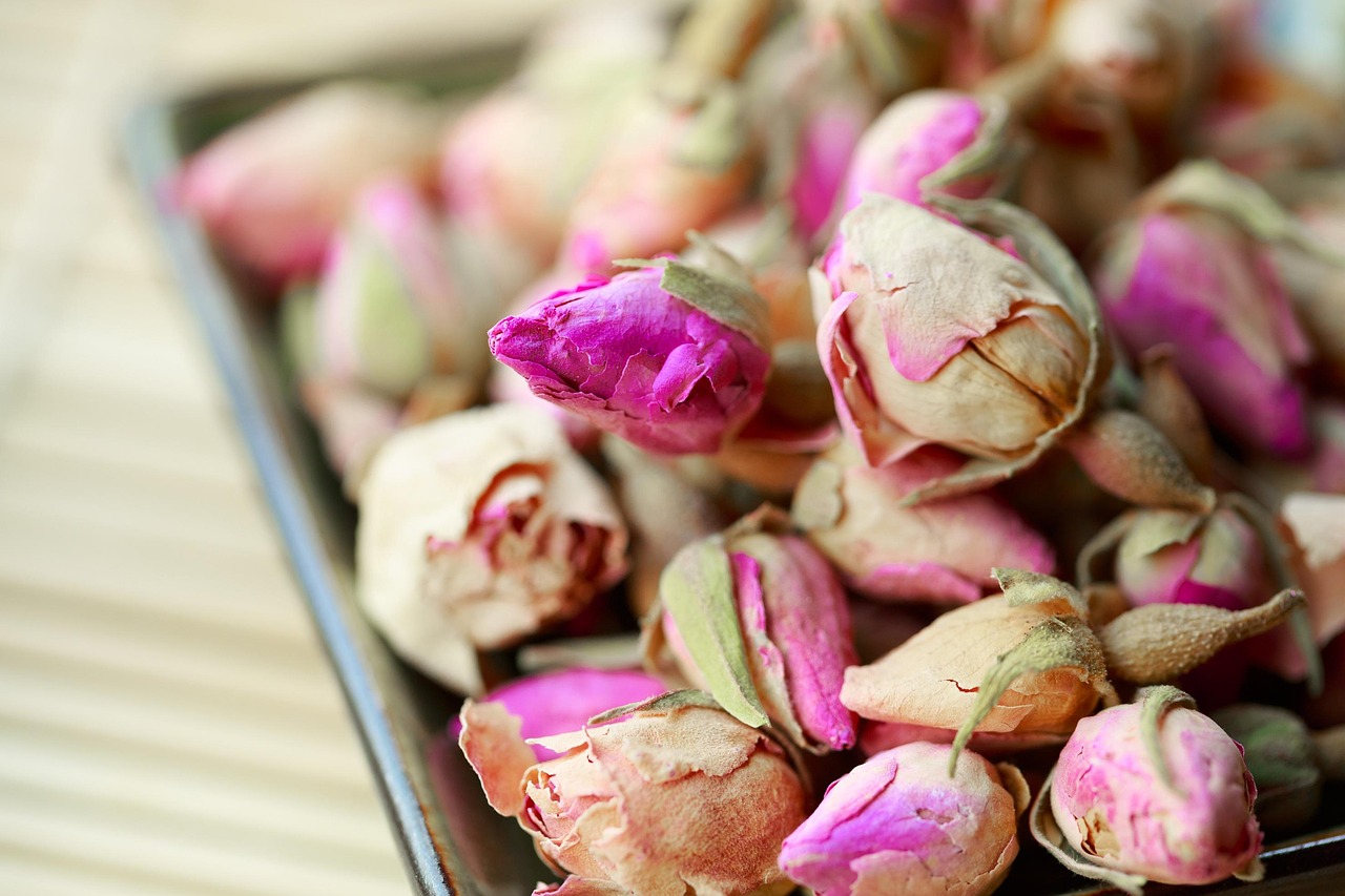 rosebud_2545642_1920_1_42859ea771.jpg
